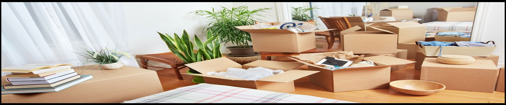 Packers And Movers Noida Sector 107